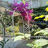 Stabiler Rosenbogen aus Metall, 230 cm, verzinkter Stahl, Gartenlaube für Kletterpflanzen, wetterfest, Rankgitter, Outdoor-Hochzeitsdekoration, 140 cm breit, elegante Blumenunterstützung für Gärten