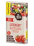 Floragard Bio-Erde Lecker 40 Liter - Gemüseerde für Hochbeete, Tomaten, Chili, Beeren, Gurken, Kräuter - torffrei und vegan