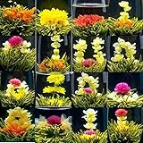 Set Mit 16 Originalen Handgemachten Bio Teebällchen Mit Blühenden Blumen Ohne Zusatzstoffe Handgefertigte Blumen Und Teeblätter Intensiver Blumiger Teegeschmack Leicht Zuzubereiten Duftender Tee