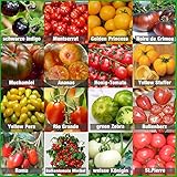 Prademir – Tomatensamen Set aus 16 seltenen & alten Sorten – Tomaten Anzuchtset mit 100% Natursamen handverlesen aus Portugal – Tomatensaat mit hoher Keimrate für Garten, Balkon, Terrasse, Gewächshaus