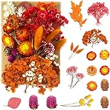 iRenXiao Natürliche Getrocknete Blumen, Blumen Natürliche Gemischte, DIY Natürliches Prägeset für Kunst Basteln DIY Harz Scrapbooking Handwerk Karten Machen