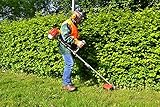 HECHT Benzin Freischneider Motorsense mit 2-Takt-Motor mit 2 PS – 43 cm und 25,5 cm Schnittkreis – inklusive Doppel Faden Spule und Metallmesser, Komfort-Tragegurt, Lenkradgriff – Antivibrationsgriff