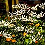 yowin Gartendeko Solarleuchten für Außen 2 Stück LED Solarlichter Pusteblume, 8 Modi Solarstecker Gartenbeleuchtung Wetterfest Solarlampen Feuerwerk für Garten Balkon Terrasse Deko - Warmweiß