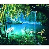 murando Fototapete Natur 350x256 cm Vlies Tapeten Wandtapete XXL Moderne Wanddeko Design Wand Dekoration Wohnzimmer Schlafzimmer Büro Flur Landschaft Wasserfall c-B-0132-a-a