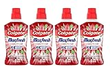 4er Pack COLGATE Mundwasser MaxFresh Complete Care Peppermint 500ml