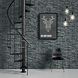 DOLLE Spindeltreppe Calgary anthrazit 11 Stufen/ 12 Steigungen Höhe 244,8-280,8 cm Durchmesser 120 cm anthrazit