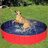 lionto Hundepool faltbar aus kratzfestem PVC-Material, Ø 160 cm, Höhe 30 cm, Anti-Rutsch-Belag & Abflussstopfen für schnelle Entleerung, Keine Pumpe benötigt, robuster Kinderpool, blau/rot