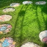 Rasensamen, Grassamen, grassamen herbst Rasensamen Schnellkeimend Herbst, winterharte für garten bio 8000pcs