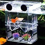 Aufzuchtbecken Aquarium, NETUEM Acryl Double Layer Fische Aufzuchtbehälter/Ablaichkasten/Aufzuchttank/Zuchtbecken für Guppy Garnelen Mollys, Aquarium Babybecken Isolationskiste Jungfiisch,Lsize