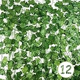Nutabevr 12 Stück Efeu Künstlich Girlande 2.2m,Kunstpflanze Hängend Deko Vorhang,Künstliche Pflanzen mit dekorativen Gesamtlänge von 26,4 m für Küche,Hochzeit,Balkon,Garten Party Dekoration