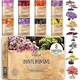 valeaf Bunte Bonsai Samen Set I 8 Sorten Bonsaisamen im Bonsai Starter Kit I Bonsai Set mit Bonsai Samen I Bonsai Tree Pflanzen Samen im Bonsai Kit I Exotische Samen zur Bonsaizucht mit valeaf Samen