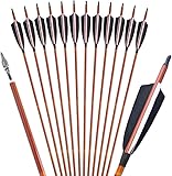 12 Stück 32 Zoll Carbon Pfeile für Bogenschießen Naturfedern Langbogen oder Compoundbögen Carbonpfeile mit Austauschbare (Schwarz)