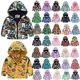 Regenjacke Kinder Dünne Süße Cartoon Dinosaurier Regenbogen Tarnung Übergangsjacke Winterjacke Jungen Wanderjacke Softshelljacke Kinder Baby Jungen Mädchen Regenmantel Winddichte Windbreaker Jacke