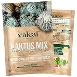 Valeaf Kaktus Mix - Bunte Kakteen und Sukkulenten für Zuhause, Balkon & Fensterbank | Pflegeleichte Zimmerpflanzen selbst züchten