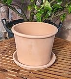 Generisch NEU !! 2 TLG. Set Orig. ital. Blumentopf ø 28 cm inkl. Teller aus Terracotta mit Unterteller Untersetzer Pflanztopf Garten Deko Mediterran Terrakotta Keramik