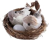 Gammaeon Künstliches Vogelnester Set mit Eiern and Vögeln | Handgeflochtenes Naturfaser-Nest mit Schaumstoff-Federn | DIY Deko für Pflanzenarrangements, Garten, Hochzeitsfotografie (30cm)