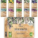 valeaf BIO Wildkräuter Samen Set I 10 Sorten Kräuter Saatgut aus biologischem Anbau I Bio Kräutersamen Set I Heilkräuter Samen, Teekräuter, Biokräuter, Gewürz I für Balkon, Garten u. Hochbeet