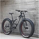 Mountainbike, 26 Zoll Fat Tire Fahrrad, Doppelscheibenbremse, Rahmen aus Karbonstahl, rutschfest, 21 Gänge, für Erwachsene, Jungen und Mädchen