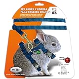 ICA DA1022 Geschirr und Leine für Zwergkaninchen, blau, mit Glöckchen, 20-30 cm, verstellbar