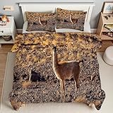 YZQGLHP Bettdecke 200x200cm Alpaka Wende Steppdecke Tier Bettdecke ohne Bezug, Weiche Microfaser, 4 Jahreszeiten Bettdecken mit 2 Kissenbezug 80x80cm