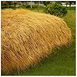 Künstliches Strohdach – feuerfester Kunststoff-Strohhalm für Resort, Gastfamilie, Pavillon, Terrasse und Pool, Strandparty, Dekoration, schwer entflammbar und realistisch