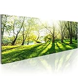 murando Akustikbild Bilder Akustikschaum Hochleistungsschallabsorber Schallschutz Leinwand 1 tlg Wandbild Raumakustik Schalldämmung Landschaft Natur c-B-0053-b-a