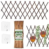 Rankgitter Holz, Spalier als Garten Rankhilfen die Rankhilfe Holz mit ausziehbarem Scherengitter ideal als Holzgitter Gitterspalier das Rankgitter für Jede Art von Kletterpflanzen (180cm x 25cm)