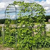 Extra hohes Metall-Spalier für Kletterpflanzen, Gurken- und Kürbisstütze, für Hochbeete und Tomaten, 2,5 m