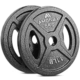 Amonax Hantelscheiben Gusseisen Set, 2,5kg, 5kg, 10kg Hantel Set für 25mm & 50mm Olympia Gewichte Hantel Bar, Metall Hantelscheiben für Gewichtheben und Hip Thrust, Hantelscheiben für Das Home Gym